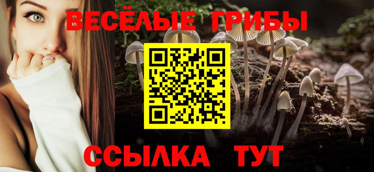 Галлюциногенные грибы Cubensis  Вход с VPN  Курчатов 